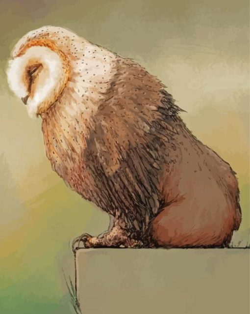 Sleepy Baby Owl Bear Paint By Numbers