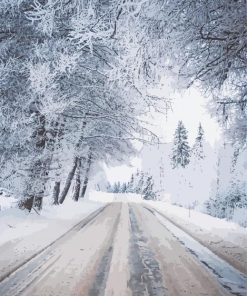 Snowy Winter Road Paint By Numbers