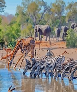 Watering Hole Animals Paint By Numbers