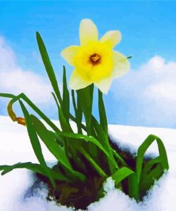 Yellow Spring Flower In Snow Paint By Numbers