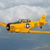 Yellow World War II Airplane Paint By Numbers