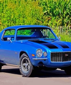 1970 Camaro Z28 Blue Paint By Numbers