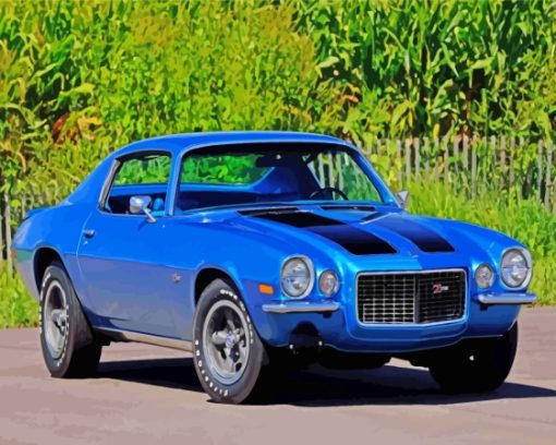 1970 Camaro Z28 Blue Paint By Numbers