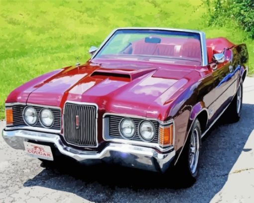 1972 Cougar Car Paint By Numbers