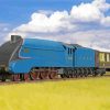 4468 Mallard Train Paint By Numbers