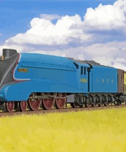 4468 Mallard Train Paint By Numbers