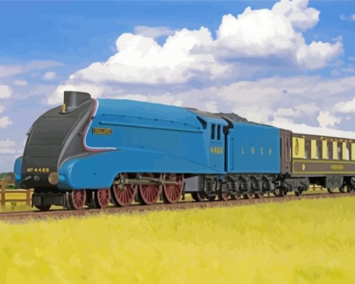 4468 Mallard Train Paint By Numbers