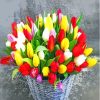 Basket Of Colorful Tulips Paint By Numbers