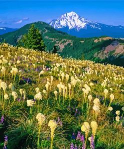 Beargrass Meadow Paint By Numbers