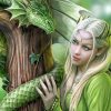 Beautiful Elf And Dragon Paint By Numbers