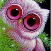 Big Eyed Pink Owl Paint By Numbers