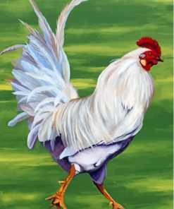 Big White Rooster Paint By Numbers