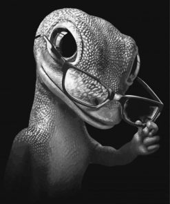 Black And White Gecko With Glasses Paint By Numbers