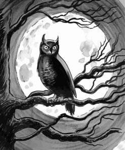 Black And White Owl Moon Paint By Numbers