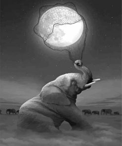 Black And White Elephant Moon Paint By Numbers