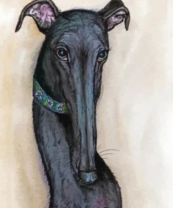 Black Greyhound Paint By Numbers