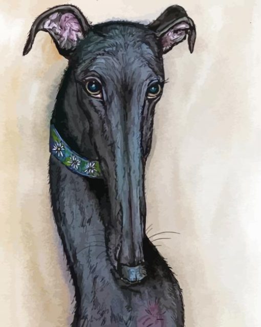 Black Greyhound Paint By Numbers