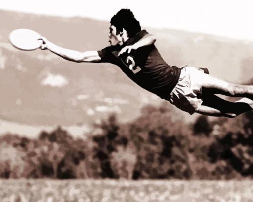 Black And White Ultimate Frisbee Player Paint By Numbers