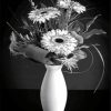 Black And White Daisy Vase Paint By Numbers