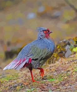 Blood Pheasant Paint By Numbers