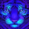 Blue Tiger Head Paint By Numbers