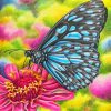 Blue Tiger Butterfly On Pink Flower Paint By Numbers