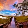 Boardwalk To A Marsh Paint By Numbers