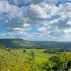 Box Hill Landscape Paint By Numbers