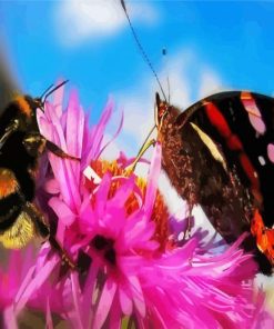 Butterfly With Bee Paint By Numbers