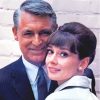 Cary Grant And Audrey Hepburn Actors Paint By Numbers