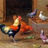 Chickens And Pigeons In Farm Paint By Numbers