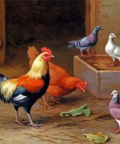 Chickens And Pigeons In Farm Paint By Numbers