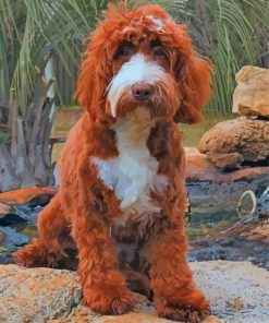 Chocolate Labradoodle Paint By Numbers