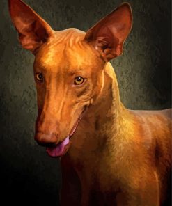 Close Up Pharaoh Hound Dog Paint By Numbers