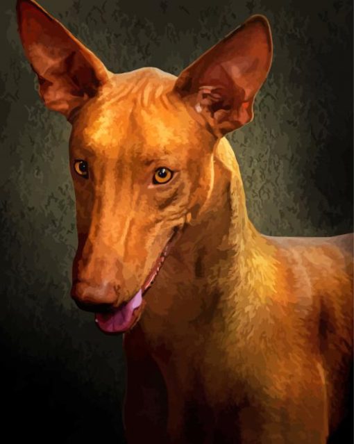 Close Up Pharaoh Hound Dog Paint By Numbers