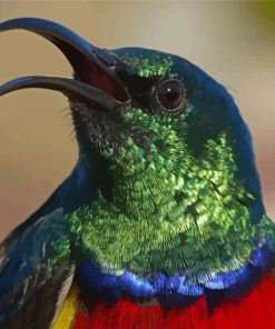 Colorful Sunbird Head Paint By Numbers