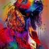 Colorful Spaniel Paint By Numbers