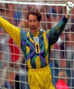 David Seaman English Goalkeeper Paint By Numbers