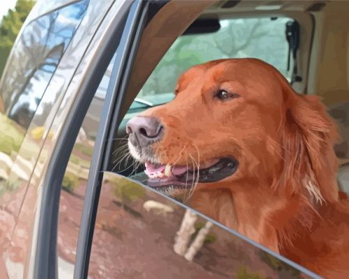 Dog In Car Paint By Numbers