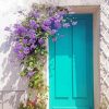 Doorway With Flowers Paint By Numbers