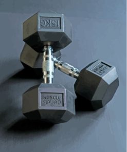 Dumbbell Paint By Numbers