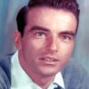 Edward Montgomery Clift Paint By Numbers