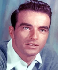 Edward Montgomery Clift Paint By Numbers