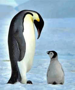 Emperor Penguin And Baby Penguin Paint By Numbers