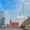 Erasmusbrug Rotterdam Paint By Numbers