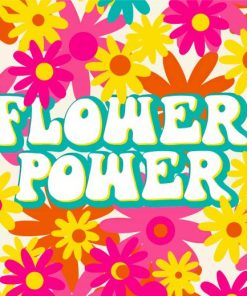 Flower Power Hippie Style Art Paint By Numbers