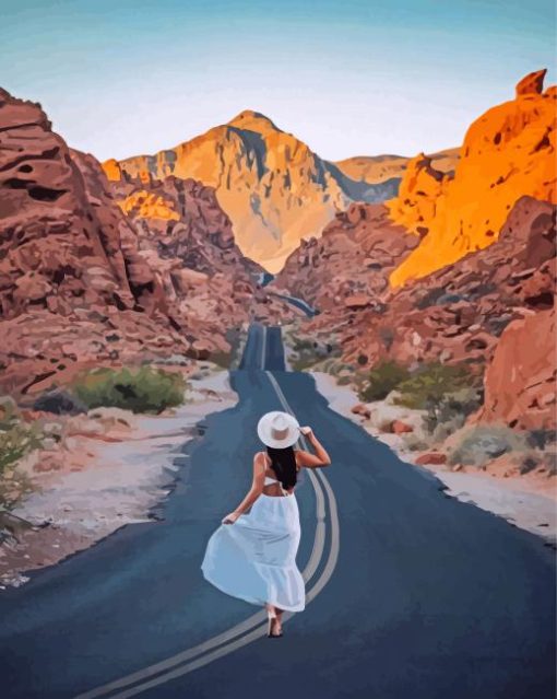 Valley Of Fire State Park Paint By Numbers