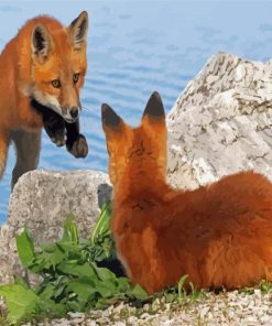 Fox Cubs Paint By Numbers