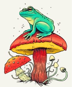 Frog And Mushrooms Paint By Numbers