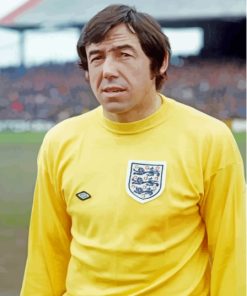 Gordon Banks Paint By Numbers